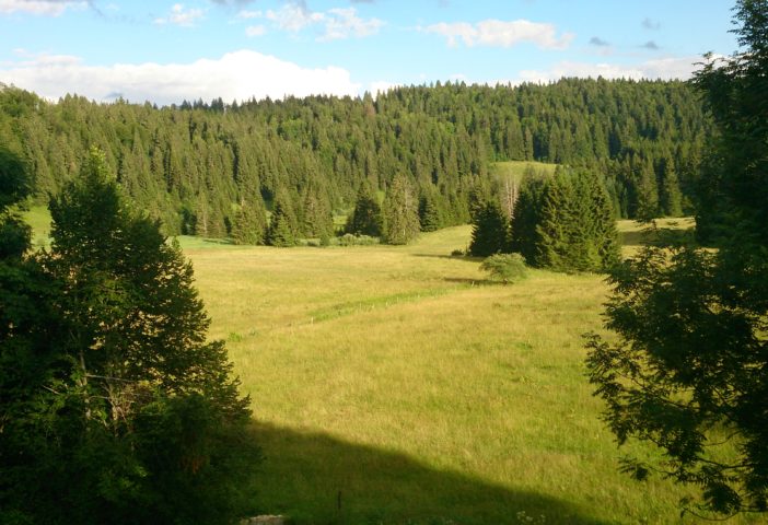 Combe derrière la maison