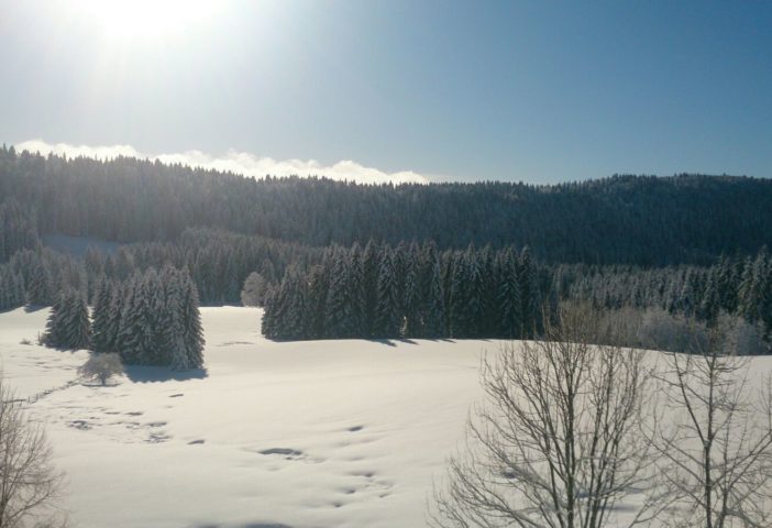 Vue du logement