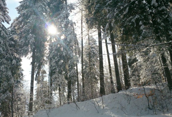 A côté du gîte