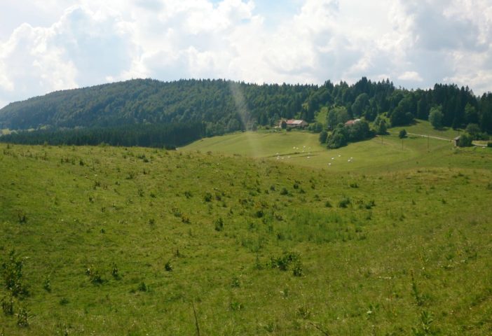 Vue du Haut-Crêt