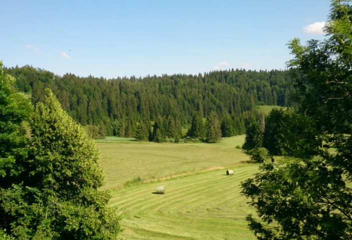 Vue du gîte