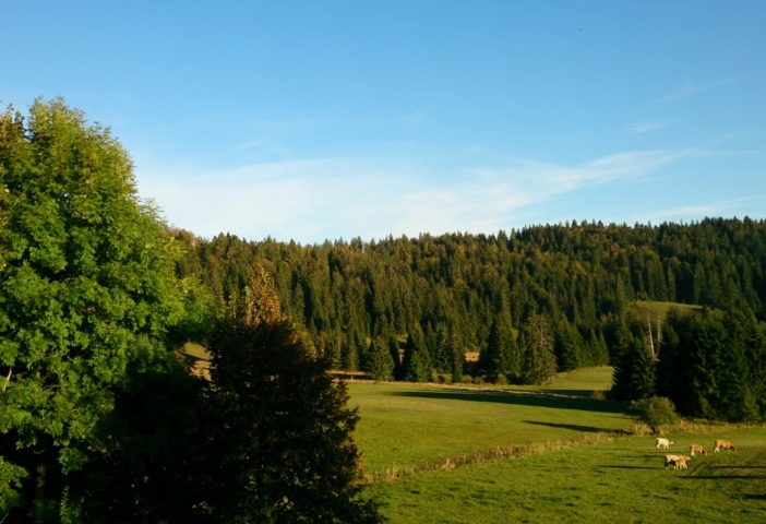 Combe à l’arrière de la maison