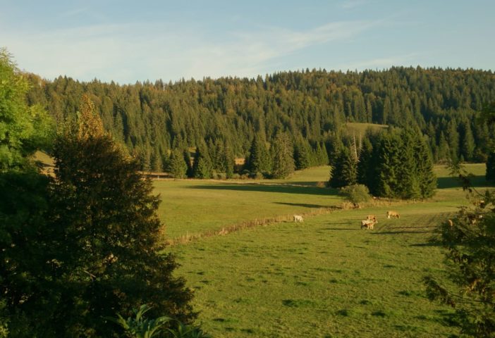 Vue d’une chambre